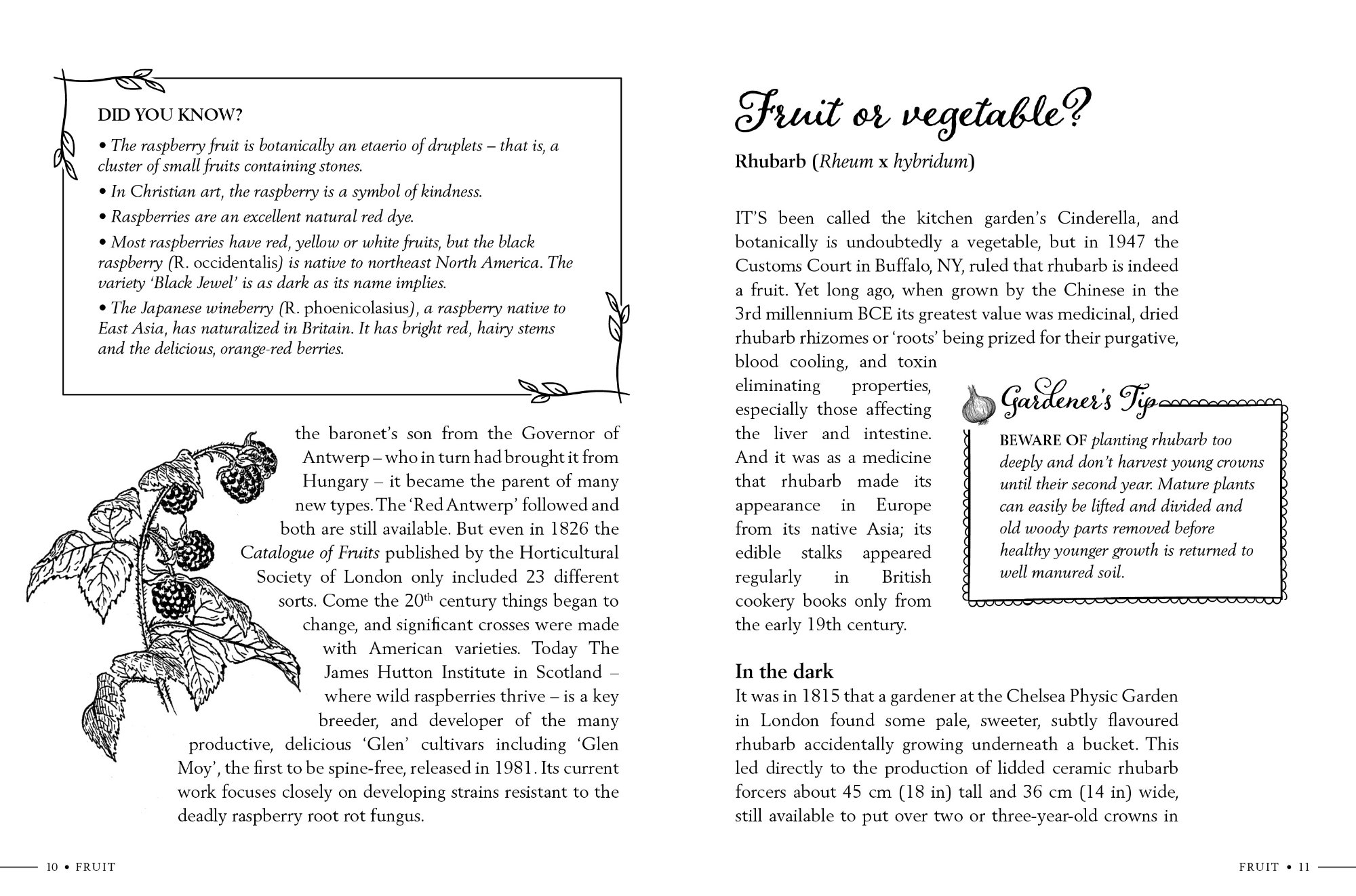 Inside pages from Kitchen Garden Secrets