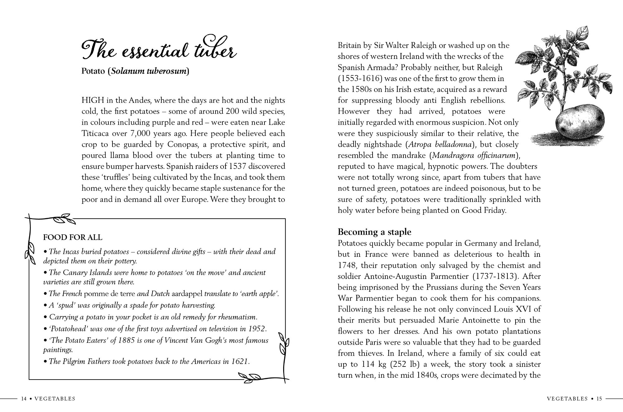 Inside pages from Kitchen Garden Secrets