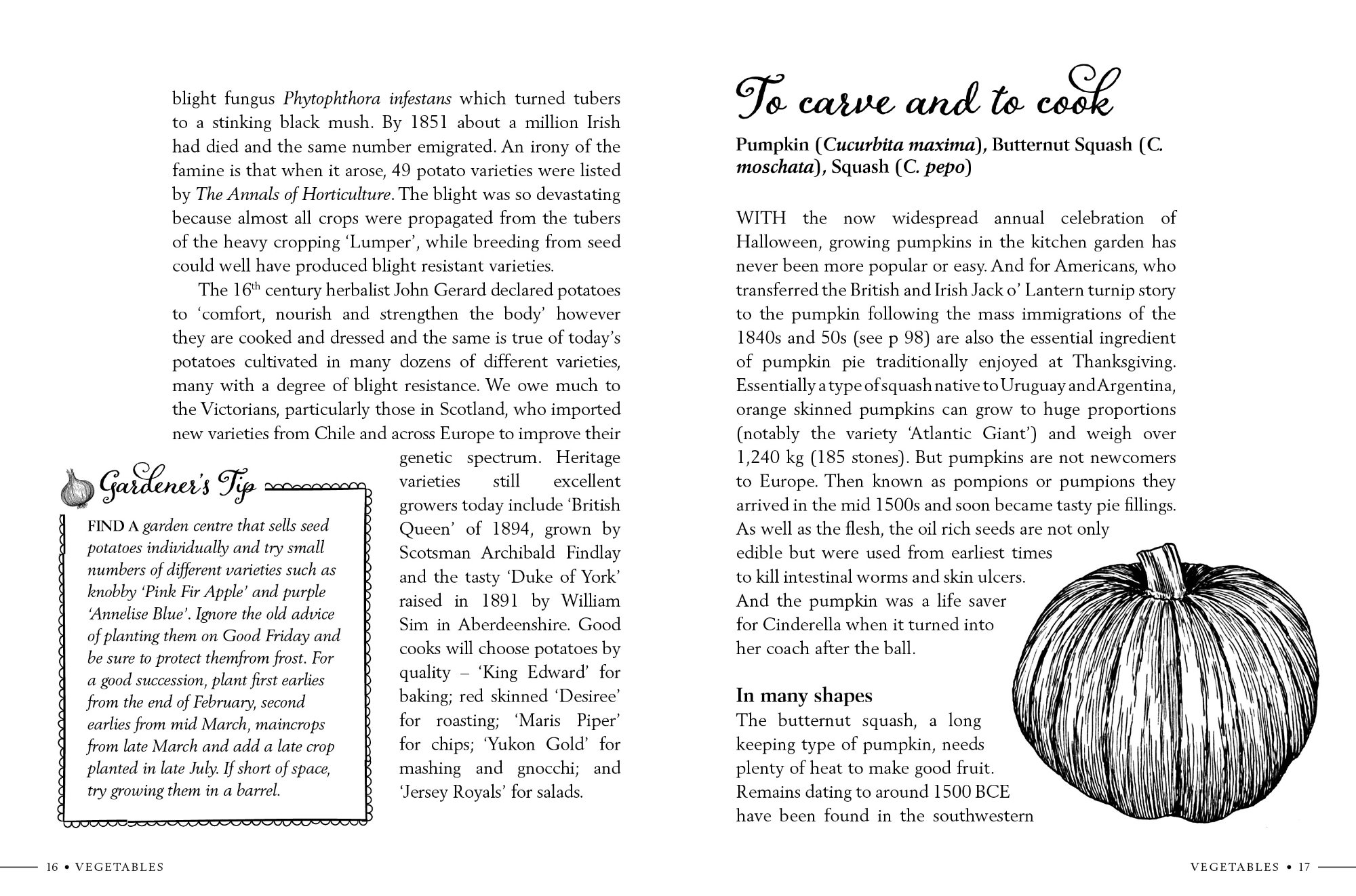Inside pages from Kitchen Garden Secrets